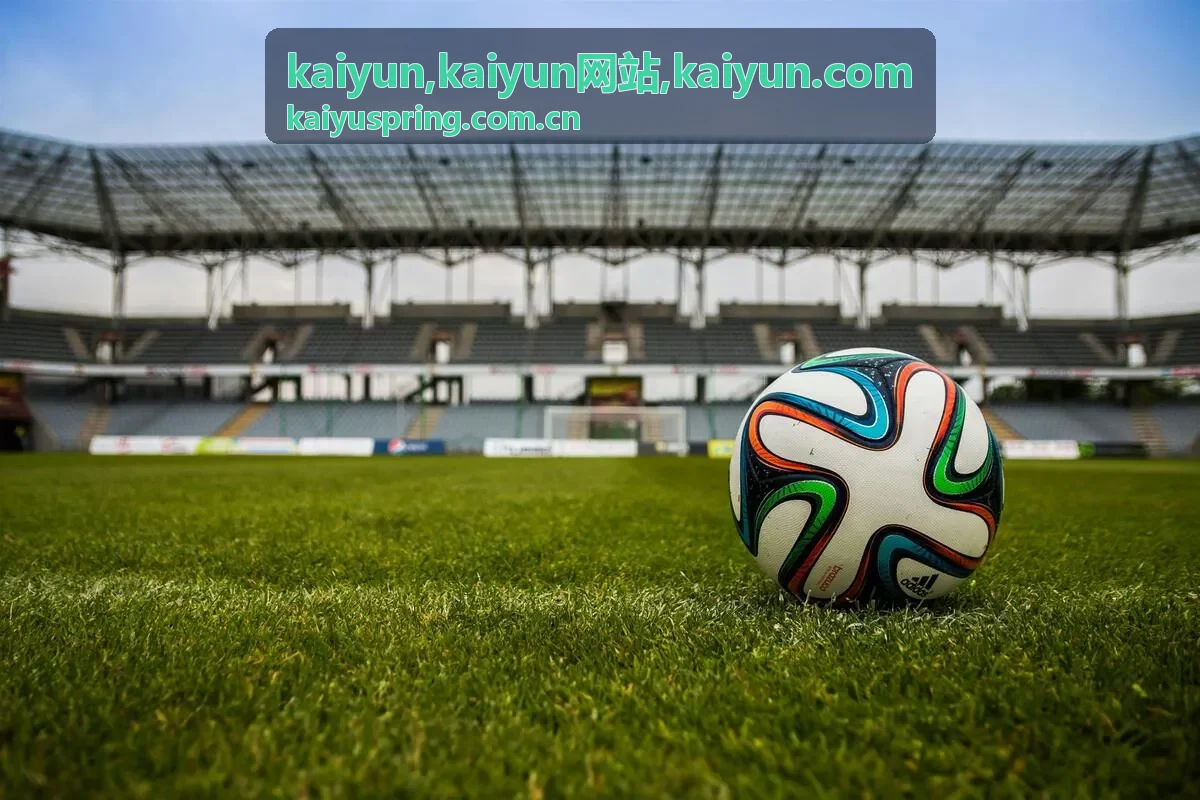 kaiyun网站资源分类入口展示图